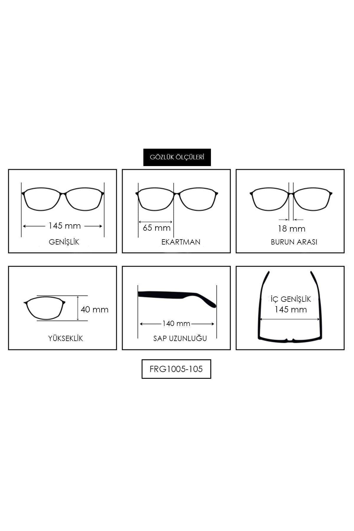 FRNCH Aslan Figürlü Gri Çerçeve Gri Cam Dikdörtgen Erkek Güneş Gözlüğü FRG1005-105-G