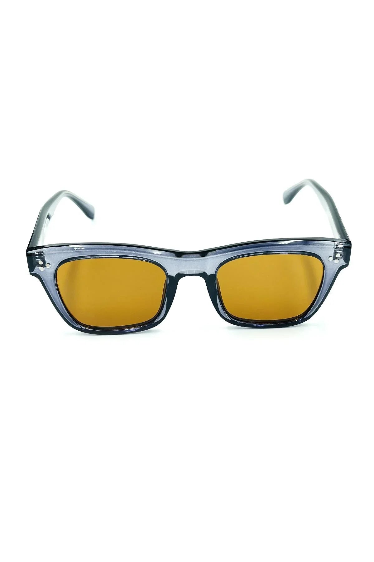 FRNCH Lacivert Çerçeve Kahverengi Cam Dikdörtgen Model Erkek Güneş Gözlüğü FRG1059-159-MK