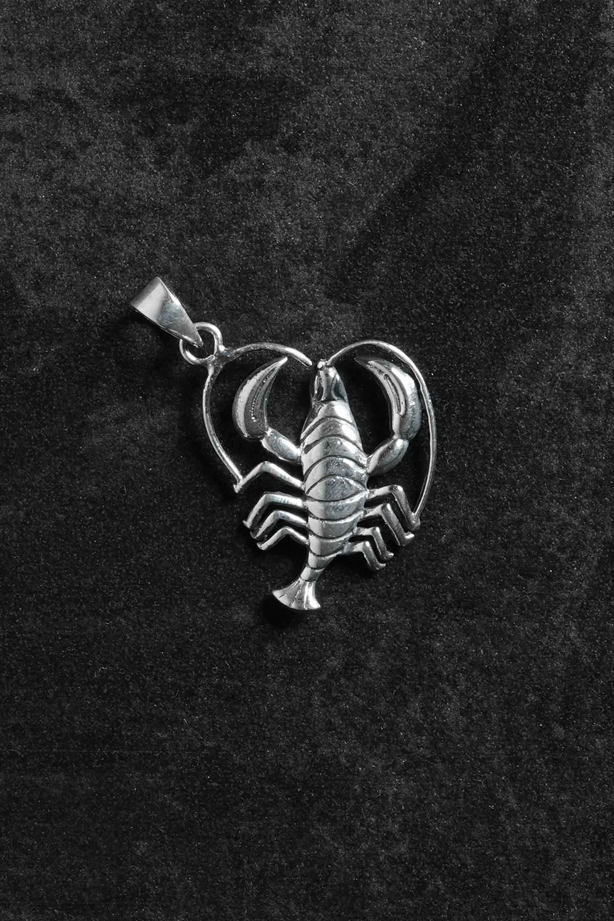 FRNCH 925 Ayar Gümüş Akrep Figürlü Gümüş Renk Erkek Kolye Ucu FRKU-1056